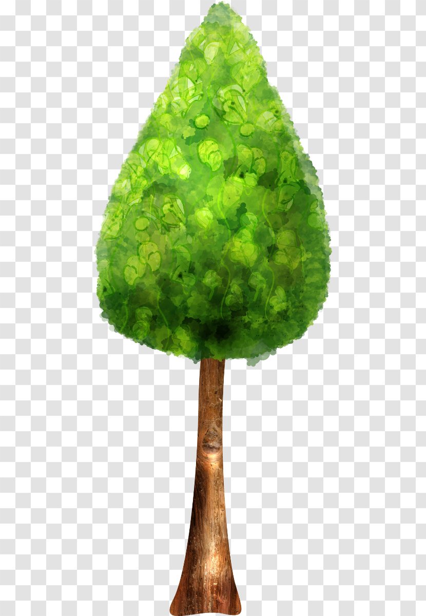 Tree Texture Mapping Clip Art - Plant Transparent PNG