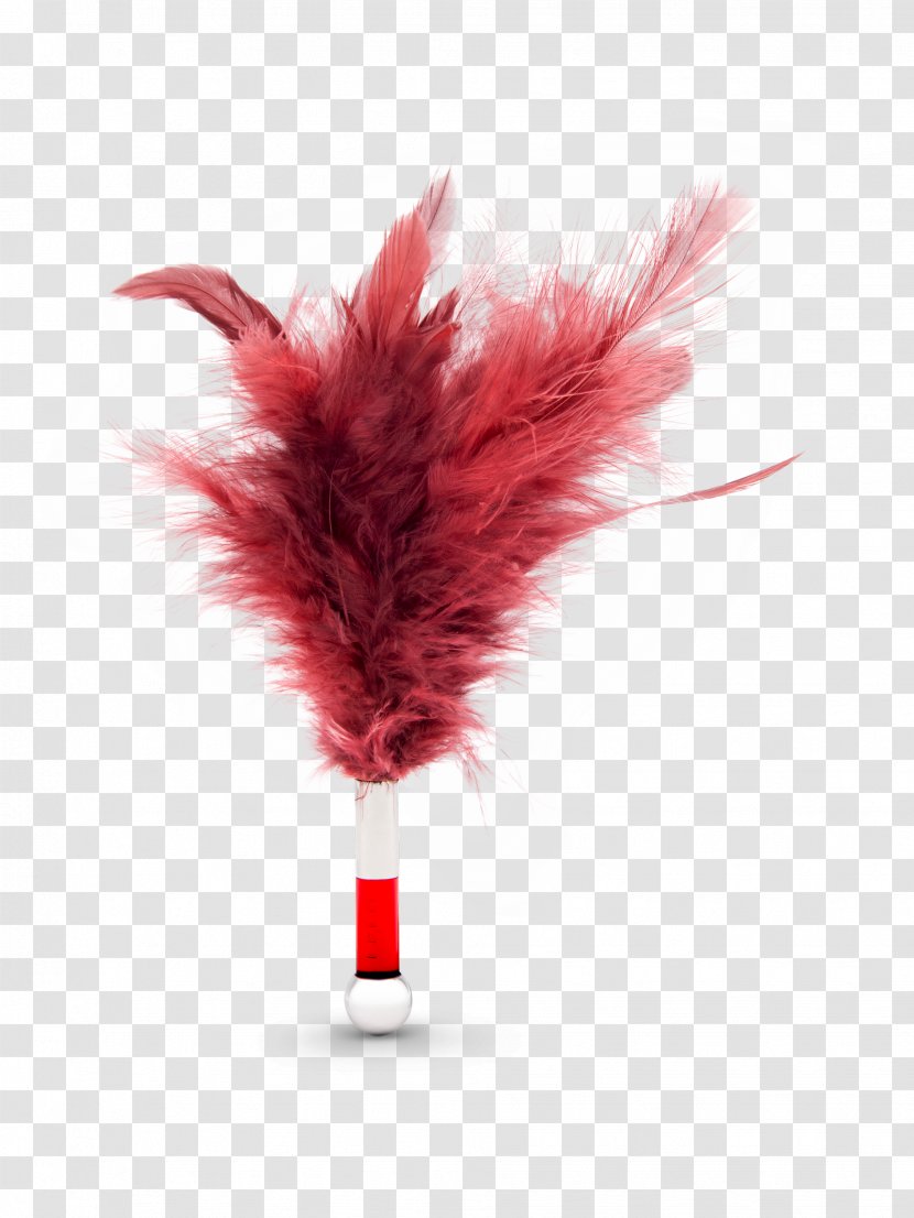 Feather RED.M - Silhouette - Tantra Transparent PNG