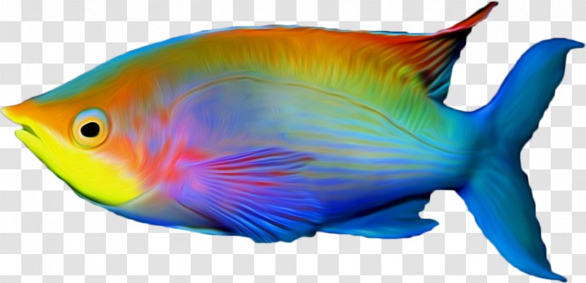 Coral Reef Fish Clip Art Transparent PNG