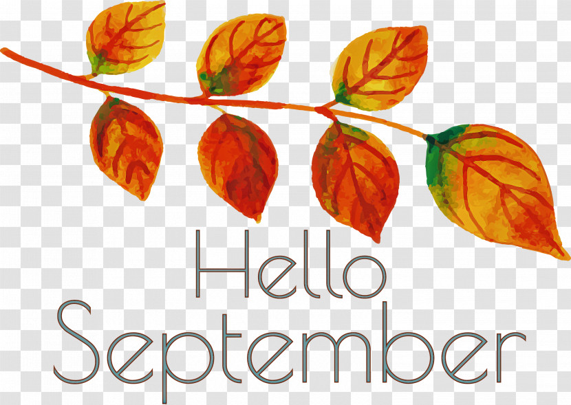 Hello September September Transparent PNG