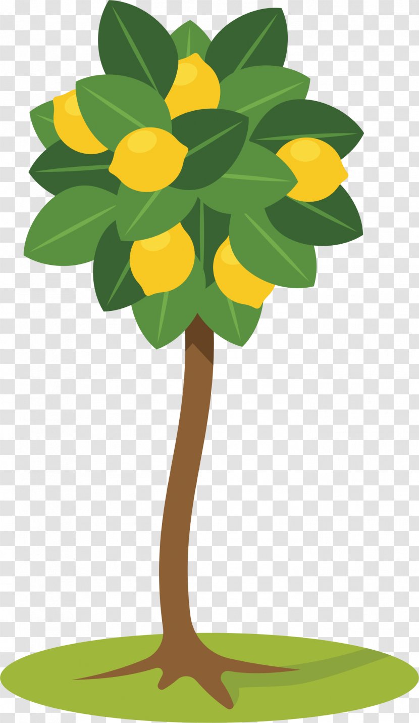 Download Clip Art - Flowering Plant - Tree Week Transparent PNG