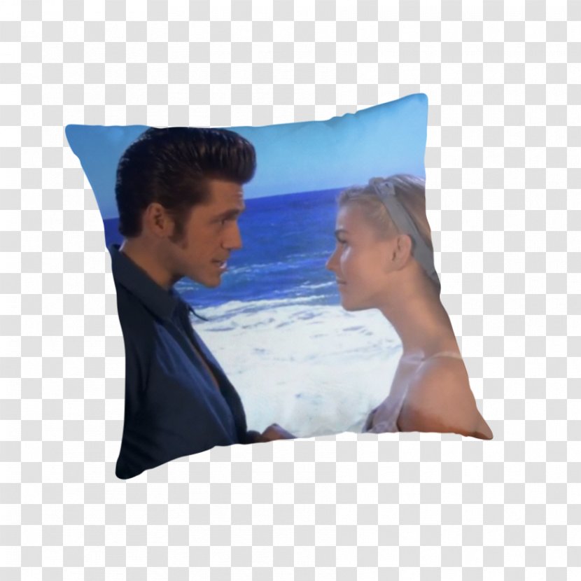 Cushion Throw Pillows Rectangle - Danny Grease Transparent PNG