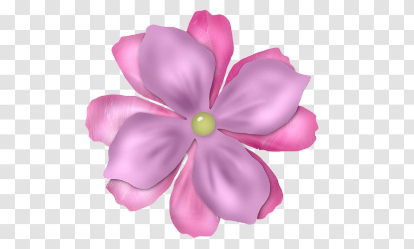 Pink M RTV - Petal - Flower Transparent PNG