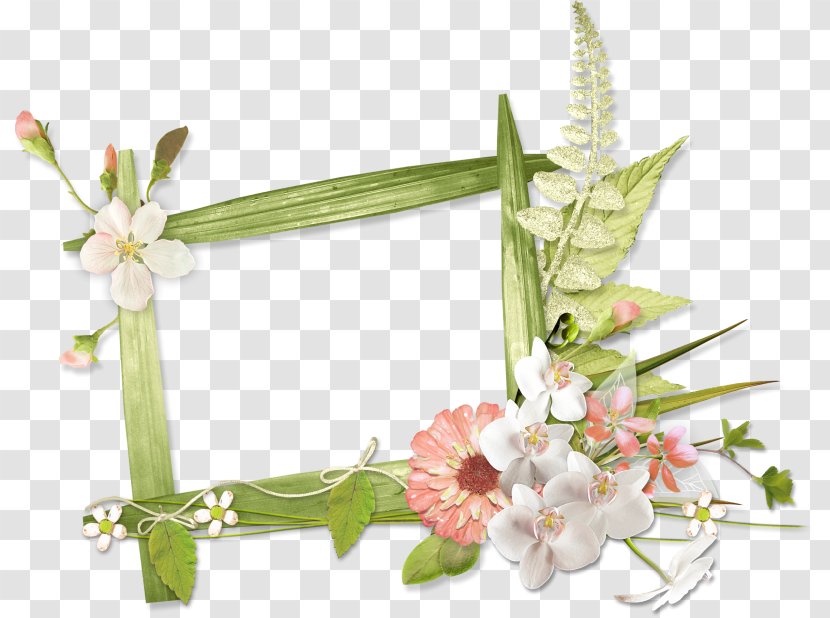 Picture Frames Photography - Plant - Beautiful Flower Cluster Transparent PNG