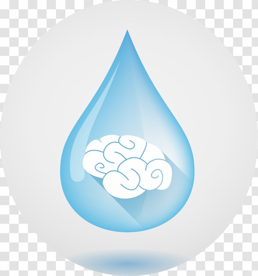 Water Human Body Drop Liquid Food - Drops Transparent PNG