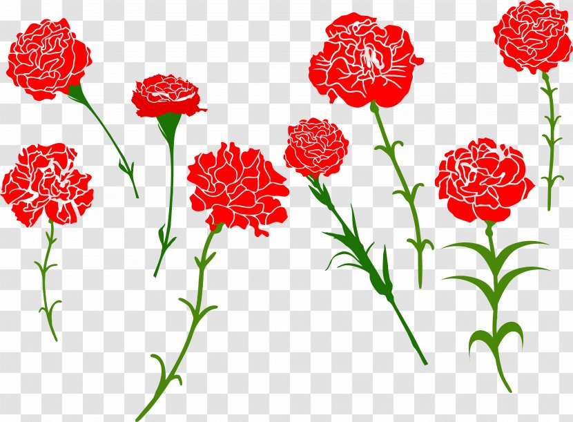 Carnation Royalty-free Flower Clip Art - Arranging Transparent PNG
