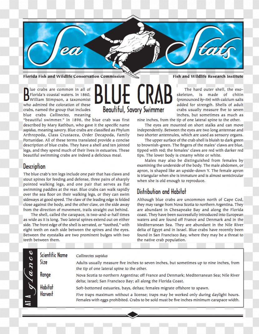 Magazine Font - Text - Blue Crab Transparent PNG