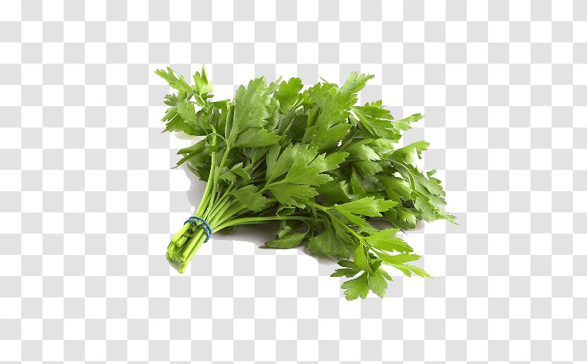 Parsley Organic Food Vegetable Leaf Transparent PNG