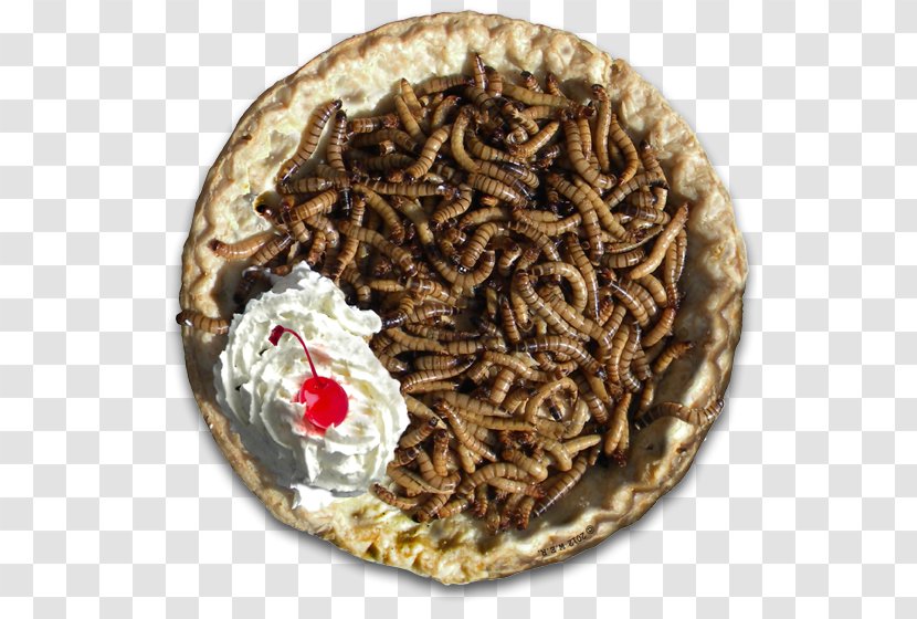 Mealworm Beetle Larva Food - Insect - Fries Transparent PNG