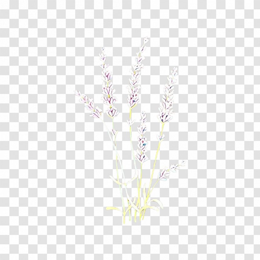 White Twig Plant Branch Grass - Flower - Tree Transparent PNG