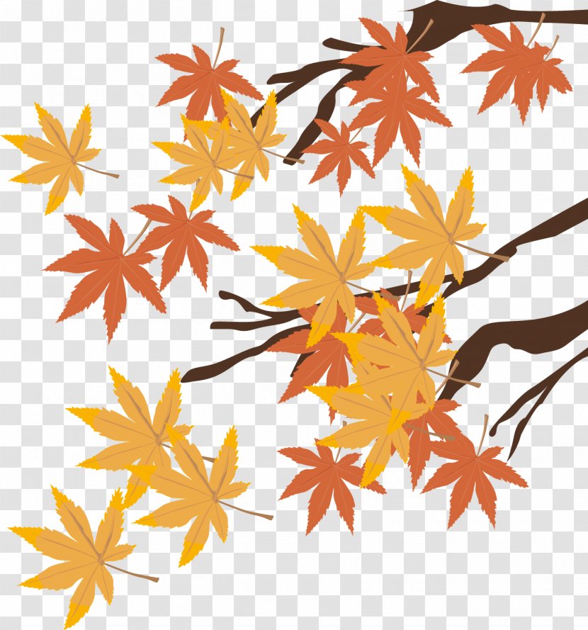 Autumn Drawing Graphic Arts Illustration - Decorative - Hand-painted Maple Leaf Pattern Transparent PNG
