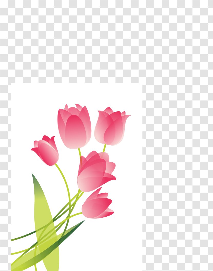Tulip Floral Design Cut Flowers Petal - Floristry Transparent PNG