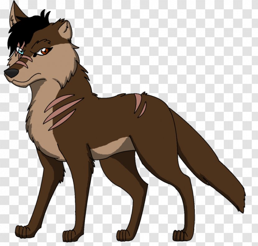 Dog Red Fox Cat Horse Fur - War Transparent PNG