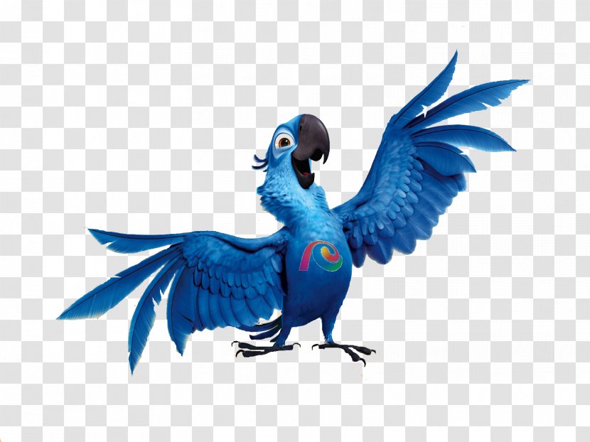 Angry Birds Rio Parrot Seasons Blu - Hyacinth Macaw - Bird Transparent PNG