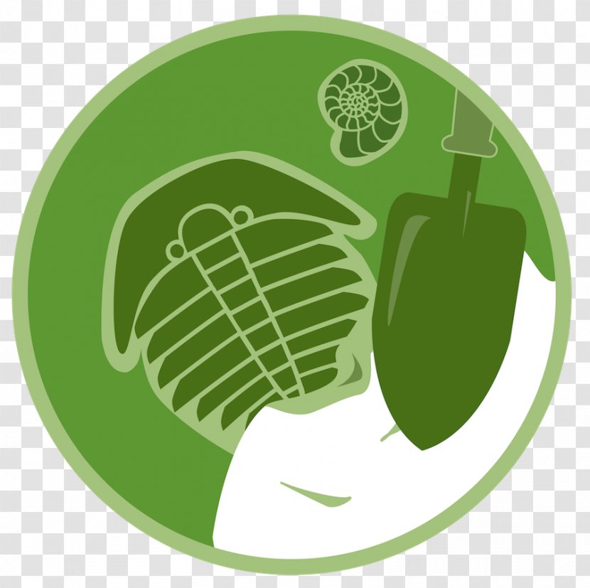 Product Design Leaf Produce Font - Plate - Biodiversity Badge Transparent PNG