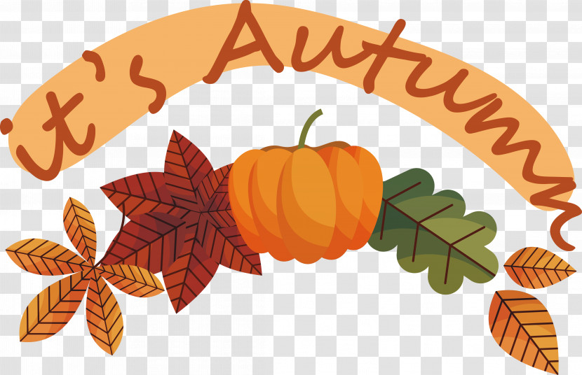 Pumpkin Transparent PNG