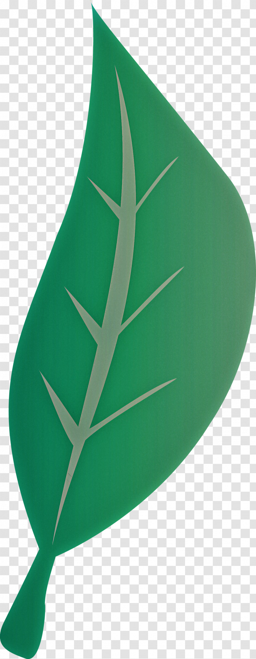 Monstera Transparent PNG