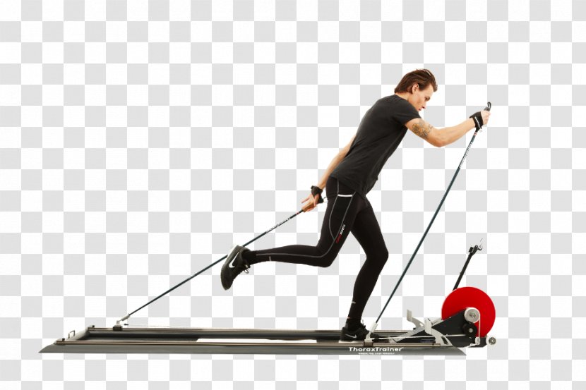 Personal Trainer Cross-country Skiing Training Exercise - Tools Transparent PNG
