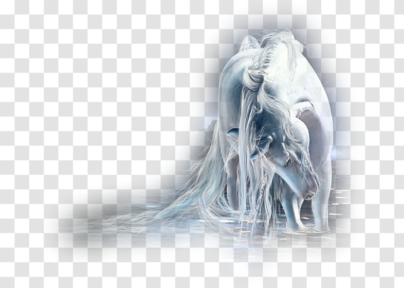 Akhal-Teke Unicorn Legendary Creature Pegasus Wallpaper - Mythology - Bow Horse Transparent PNG
