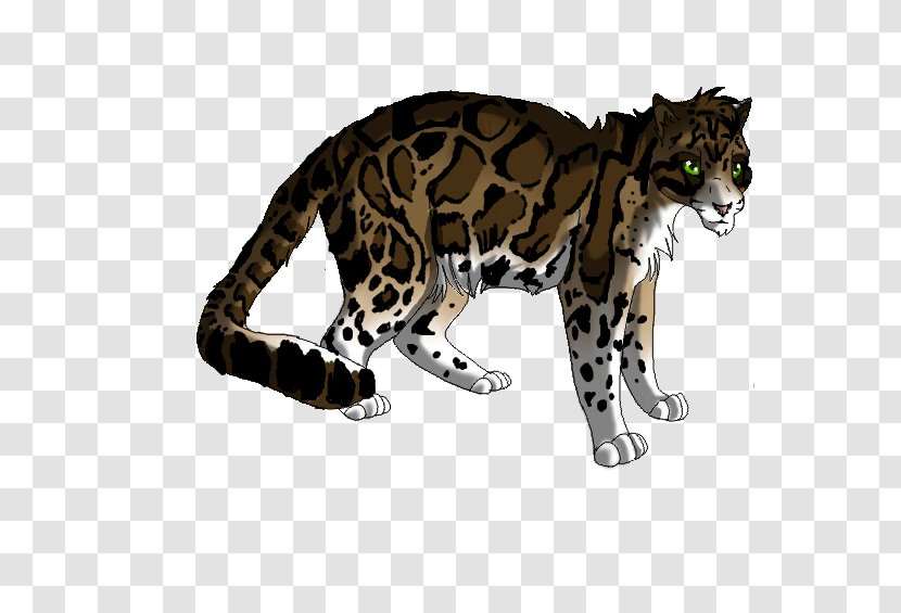 Whiskers Ocelot Tiger Leopard Cat - Carnivoran - Clouded Transparent PNG