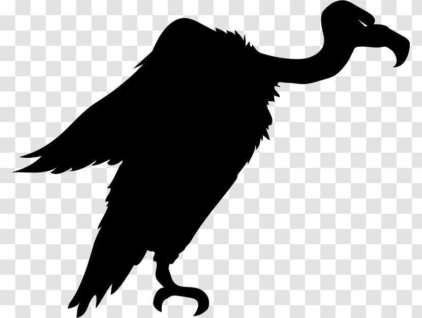 Bird Turkey Vulture Silhouette Clip Art - Feather Transparent PNG