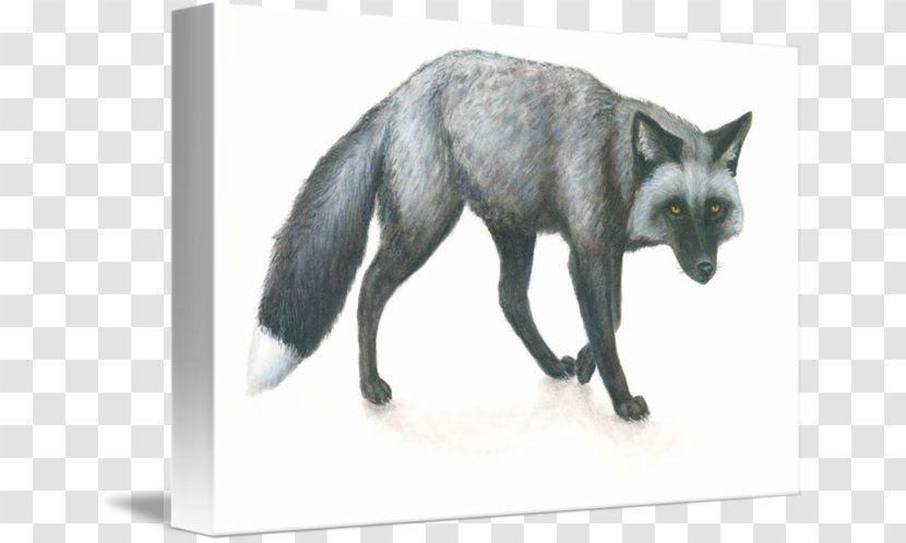 Silver Fox Domesticated Red Fur Transparent PNG