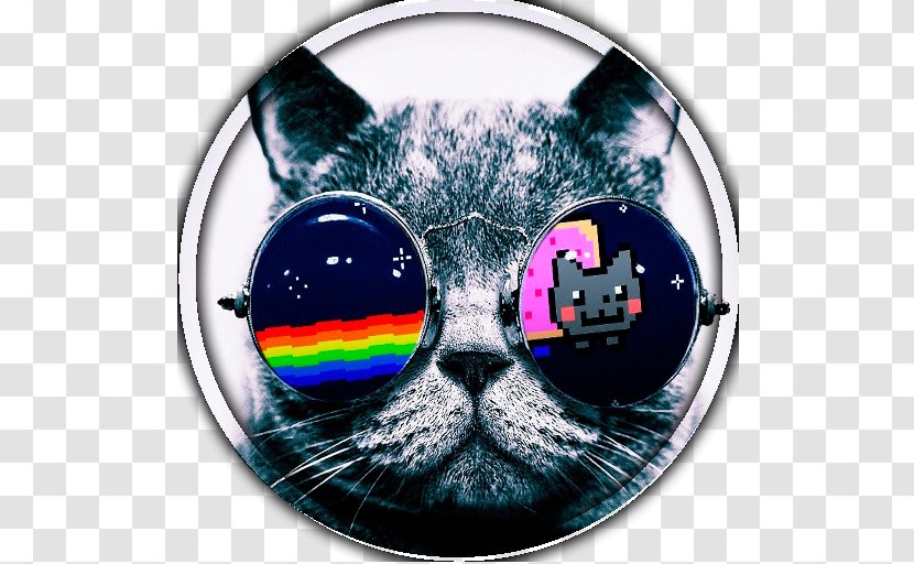 Nyan Cat Kitten Art Canvas Print - Imgur Agar.io Transparent PNG