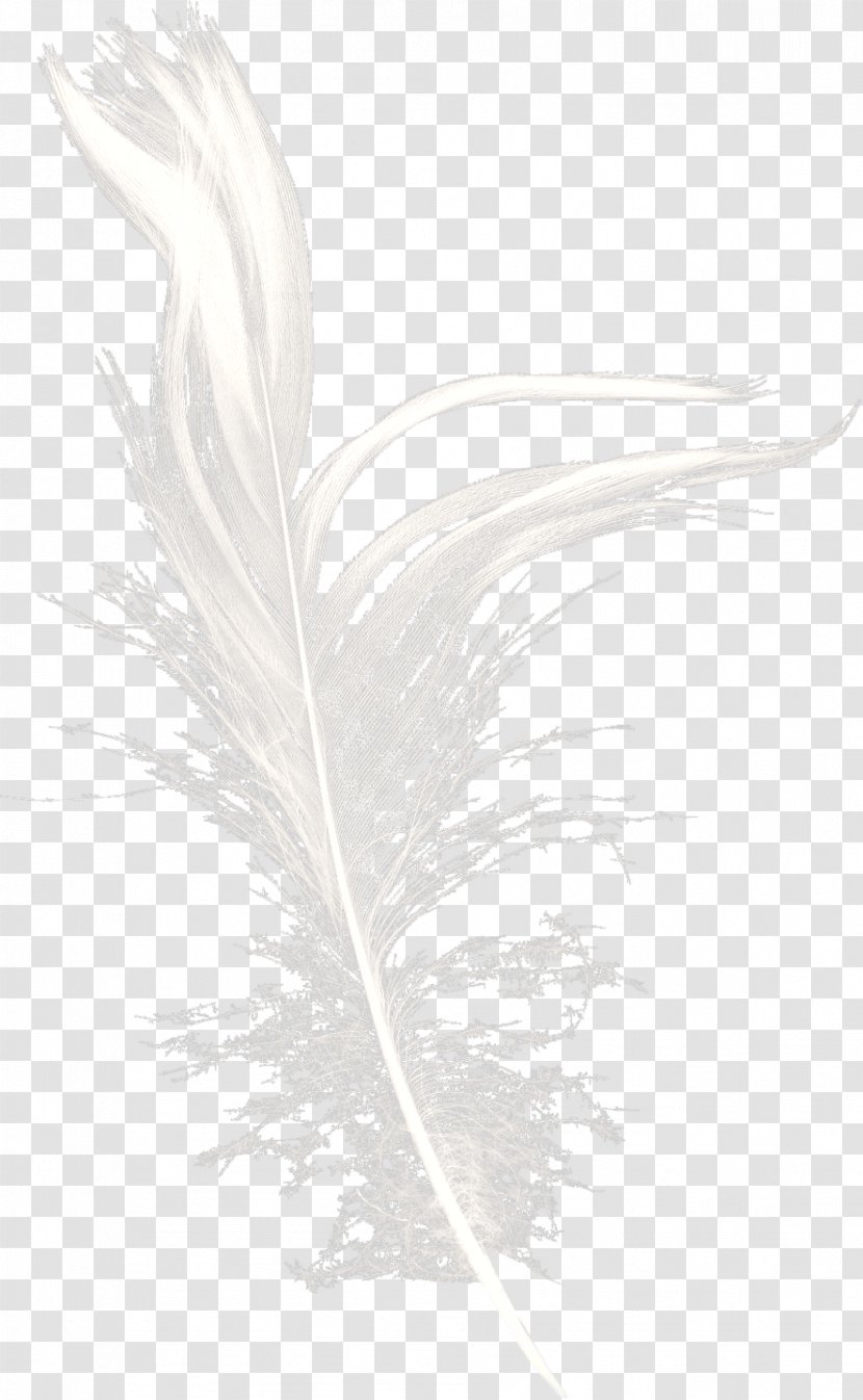 White Feather Black Pattern - Wing - Dream Transparent PNG