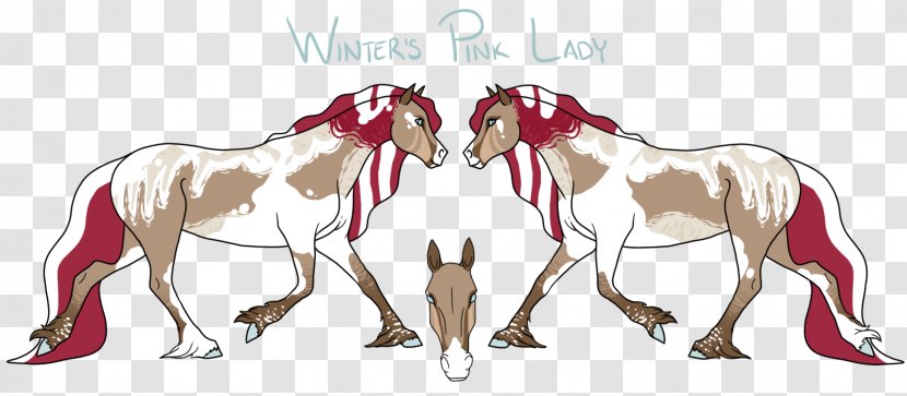 Mustang Foal Pony Mare Stallion - Rein Transparent PNG