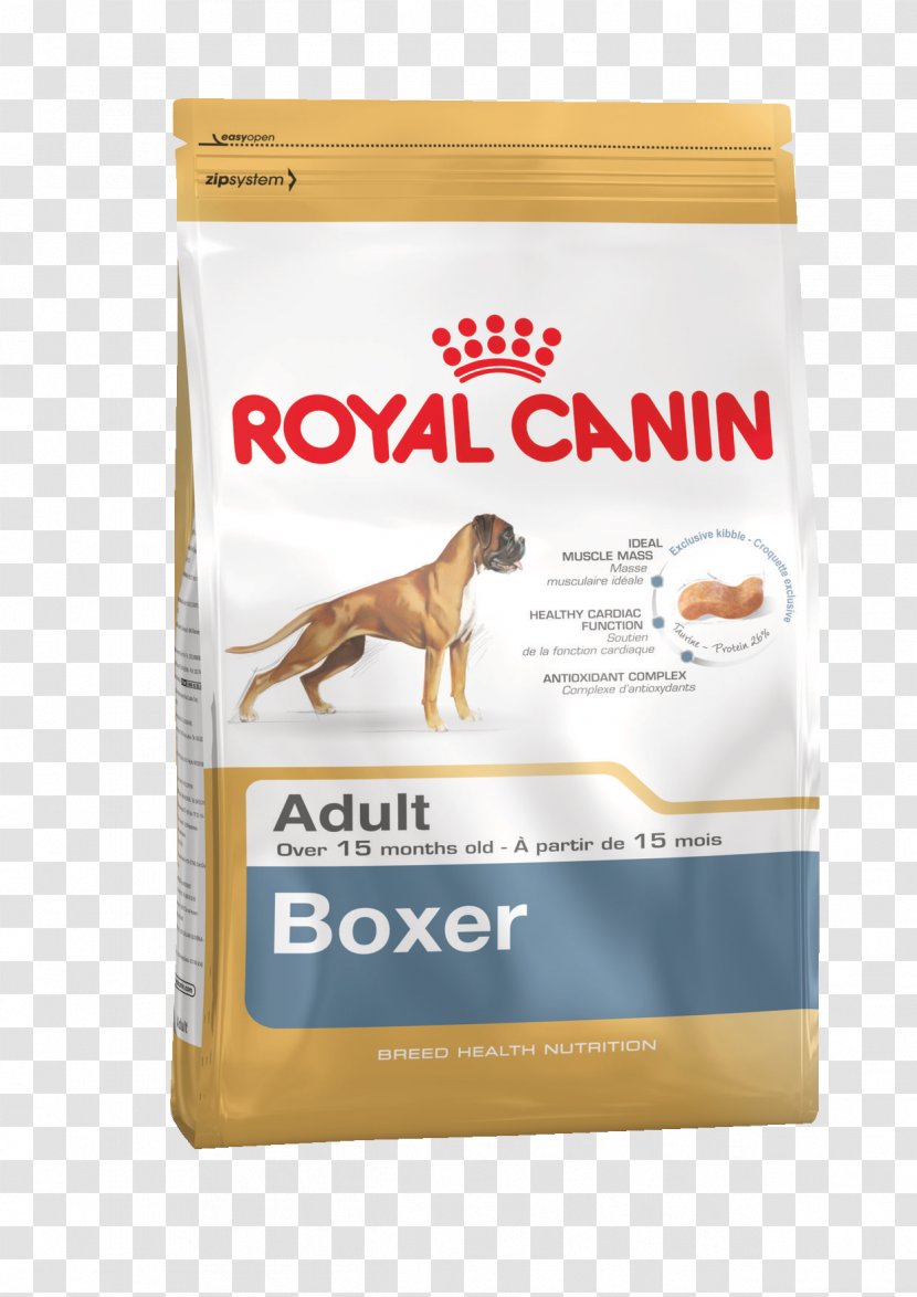 Boxer Puppy Bichon Frise Bulldog Dog Food Transparent PNG