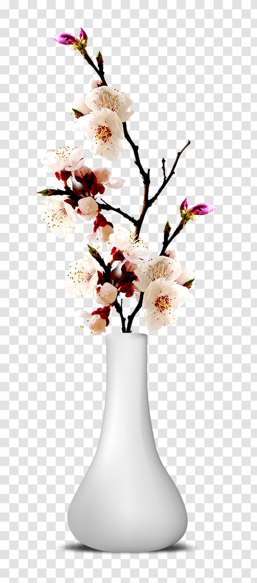 Flower Vase - Ornament - Cut Flowers Transparent PNG