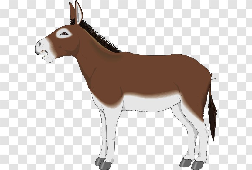 Mule Donkey Cartoon Clip Art - Pony Transparent PNG