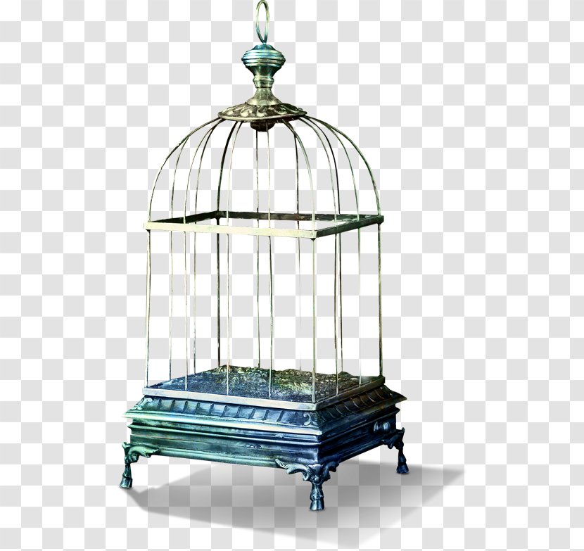 Birdcage - Bird - Cartoon Iron Cage Transparent PNG