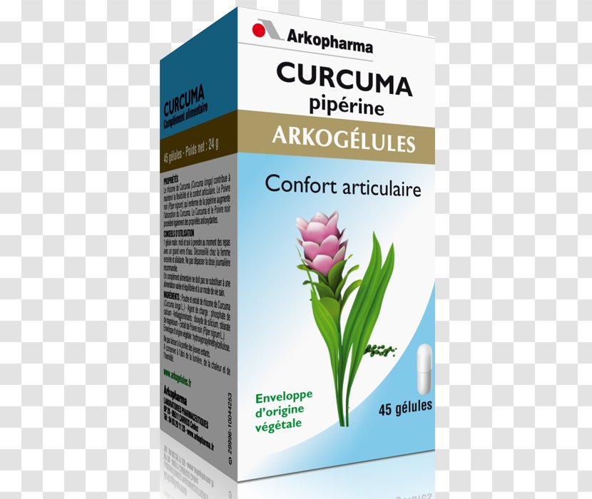 Dietary Supplement ARKOPHARMA Laboratories, Company Limited. Capsule Pharmacy Propolis - Flower - Curcuma Transparent PNG