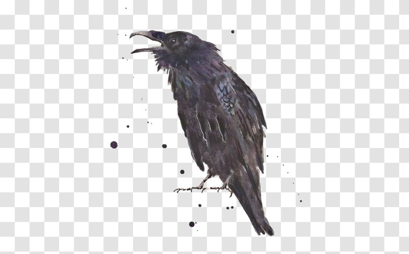 Common Raven The Art Printmaking - Beak - Ink Crow Transparent PNG