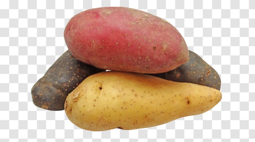 Mashed Potato Organic Food Sweet - Root Vegetable Transparent PNG