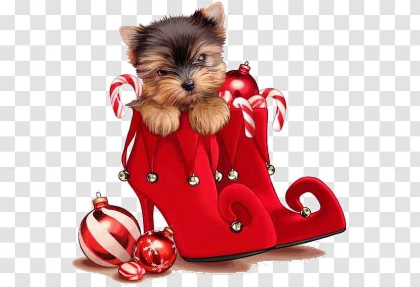 Yorkshire Terrier Christmas Card Puppy Ornament - Bombka Transparent PNG