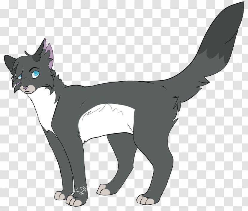 Whiskers Kitten Domestic Short-haired Cat Black - Small To Medium Sized Cats Transparent PNG