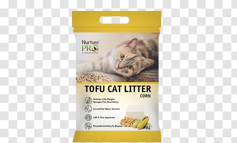 Cat Litter Trays Singapura Food Tofu Pet Transparent PNG