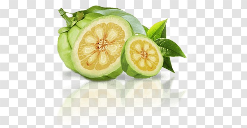 Dietary Supplement Garcinia Cambogia Weight Loss Anorectic Appetite - Natural Foods Transparent PNG