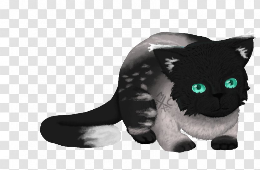Whiskers Black Cat Snout Puma - Tail Transparent PNG