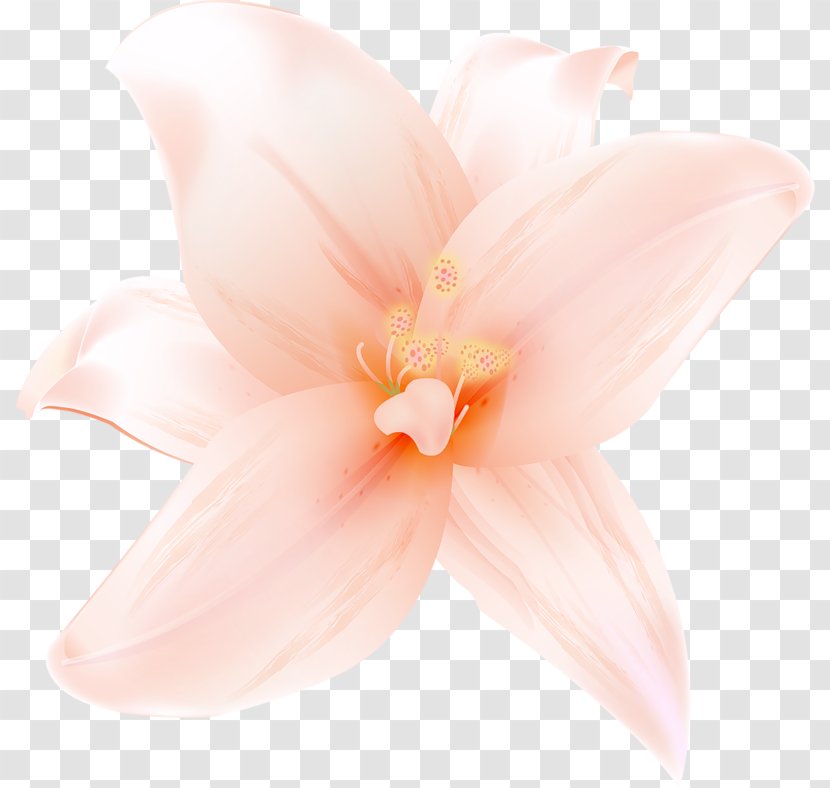 Petal Claire's Barrette Flower Clothing Accessories - Hairstyle Transparent PNG