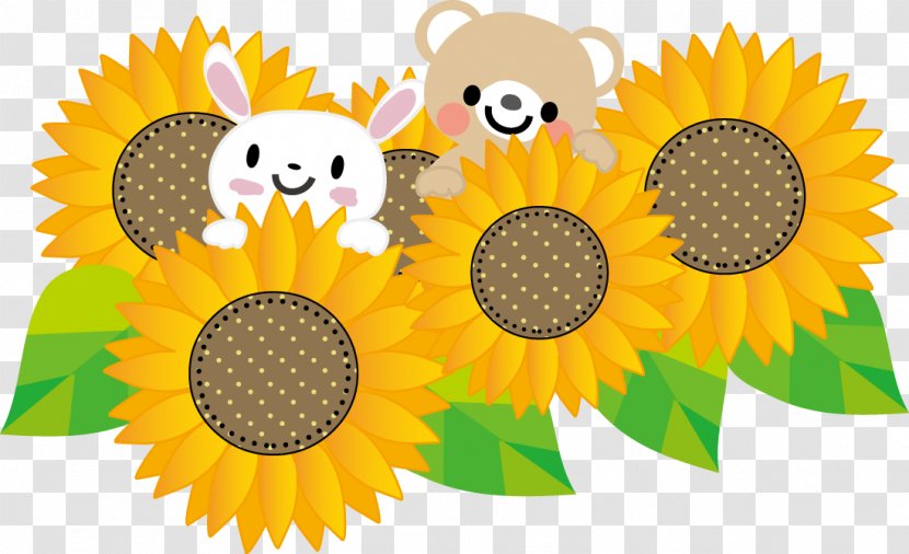 Common Sunflower Jardin D'enfants Child Anan - Plant - Enjoy Summer Transparent PNG