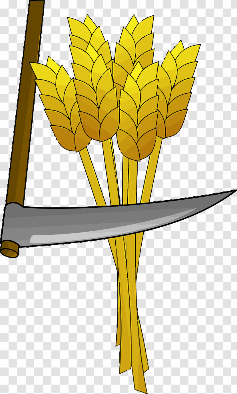 Thanksgiving Harvest Transparent PNG