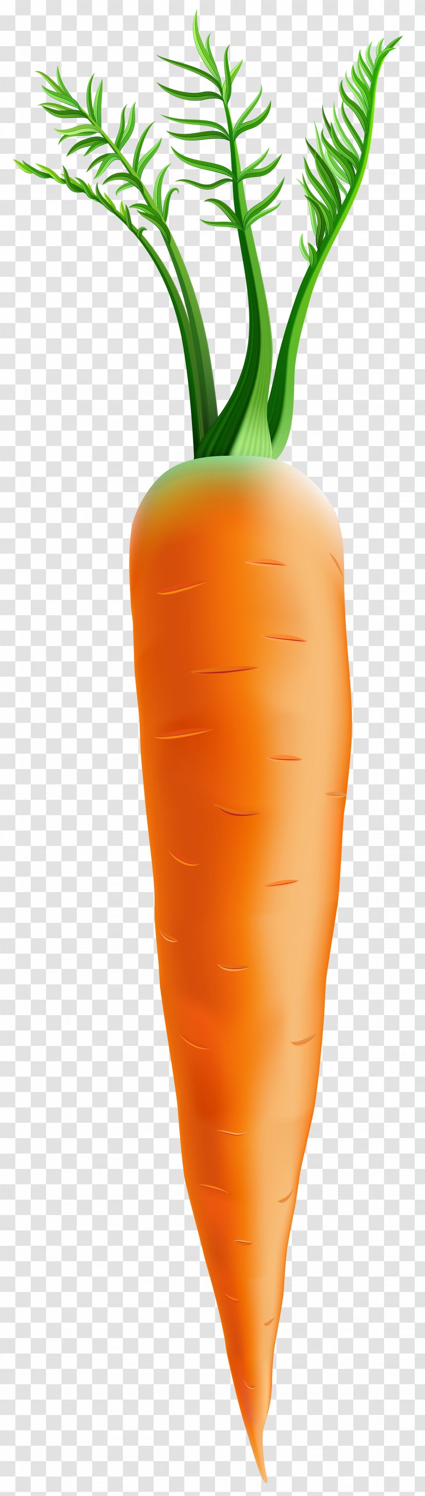 Carrot Orange Flowerpot - Clip Art Image Transparent PNG