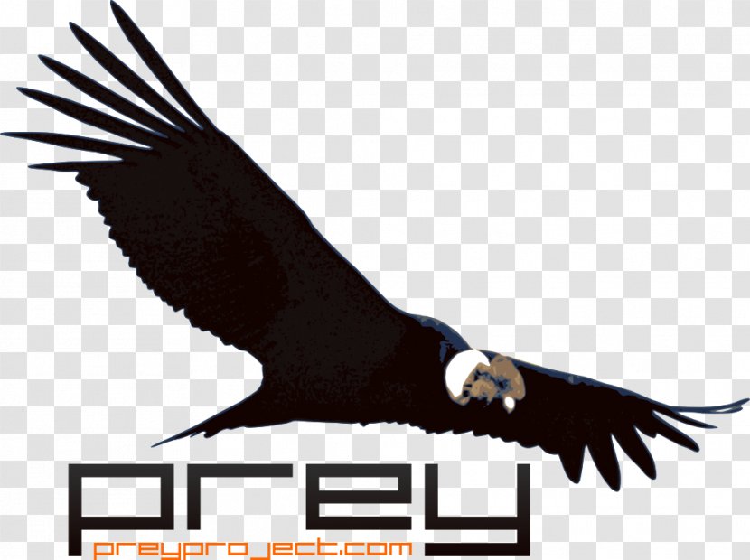 Prey Laptop Colca Canyon Computer Software Anti-theft System - Vulture Transparent PNG
