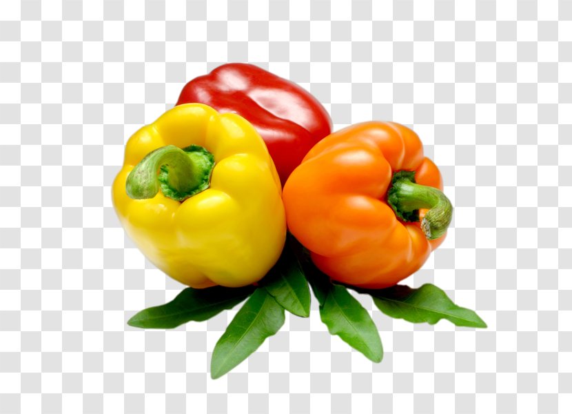 Piquillo Pepper Bell Chili Vegetable Cayenne - Habanero - Savoy Cabbage Transparent PNG