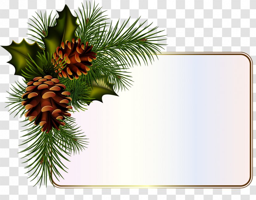 Christmas Black And White - Painting - Rectangle Vascular Plant Transparent PNG