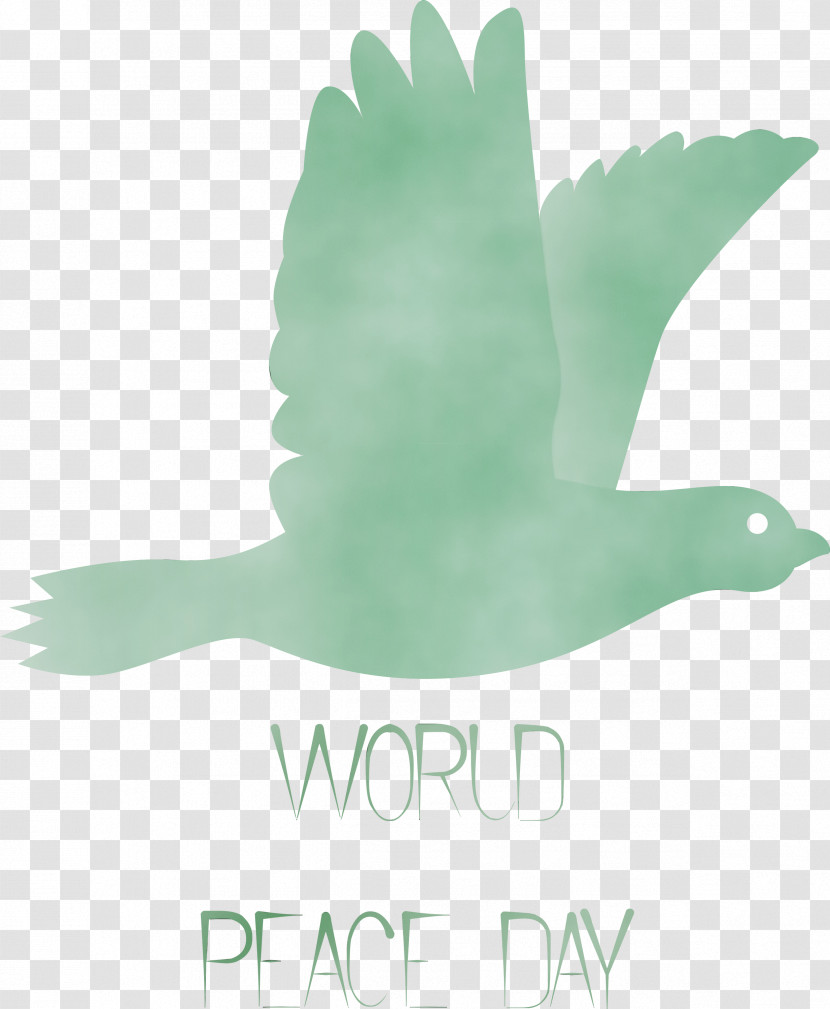 Birds Ducks Water Bird Beak Green Transparent PNG