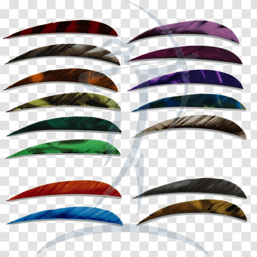Eyebrow Feather Line - Eye Transparent PNG